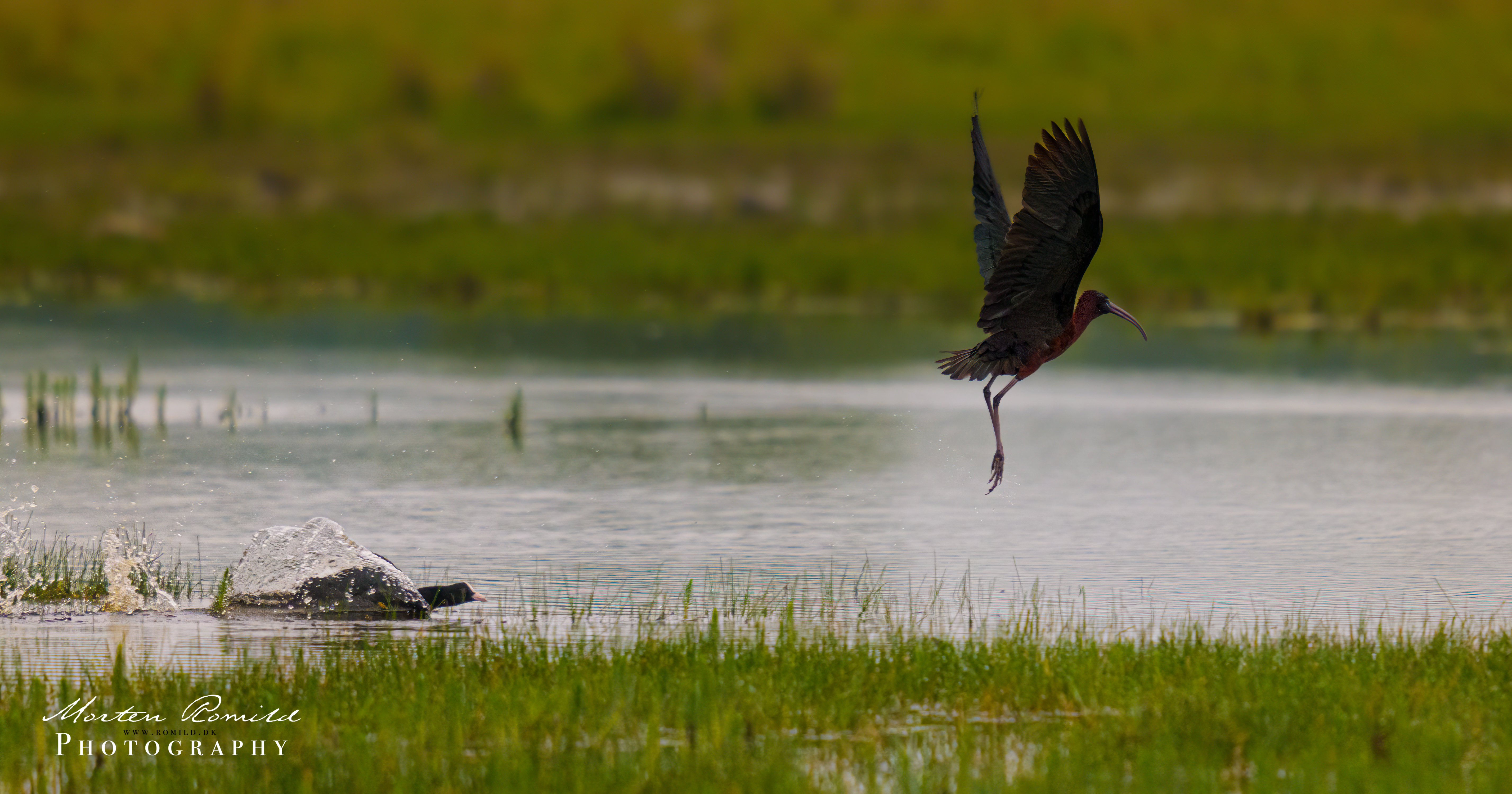 P1040428-Edit