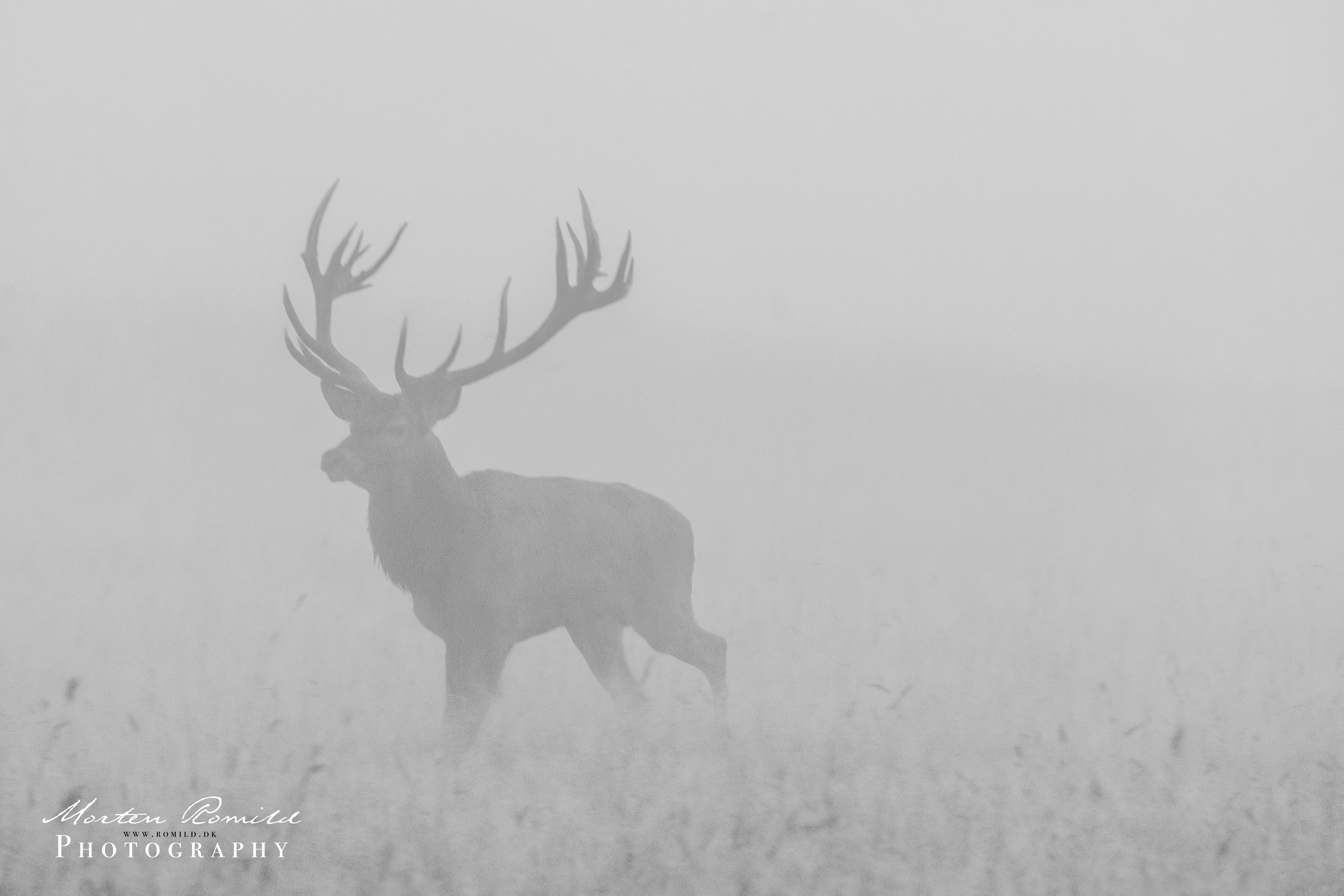 P1089950-Edit