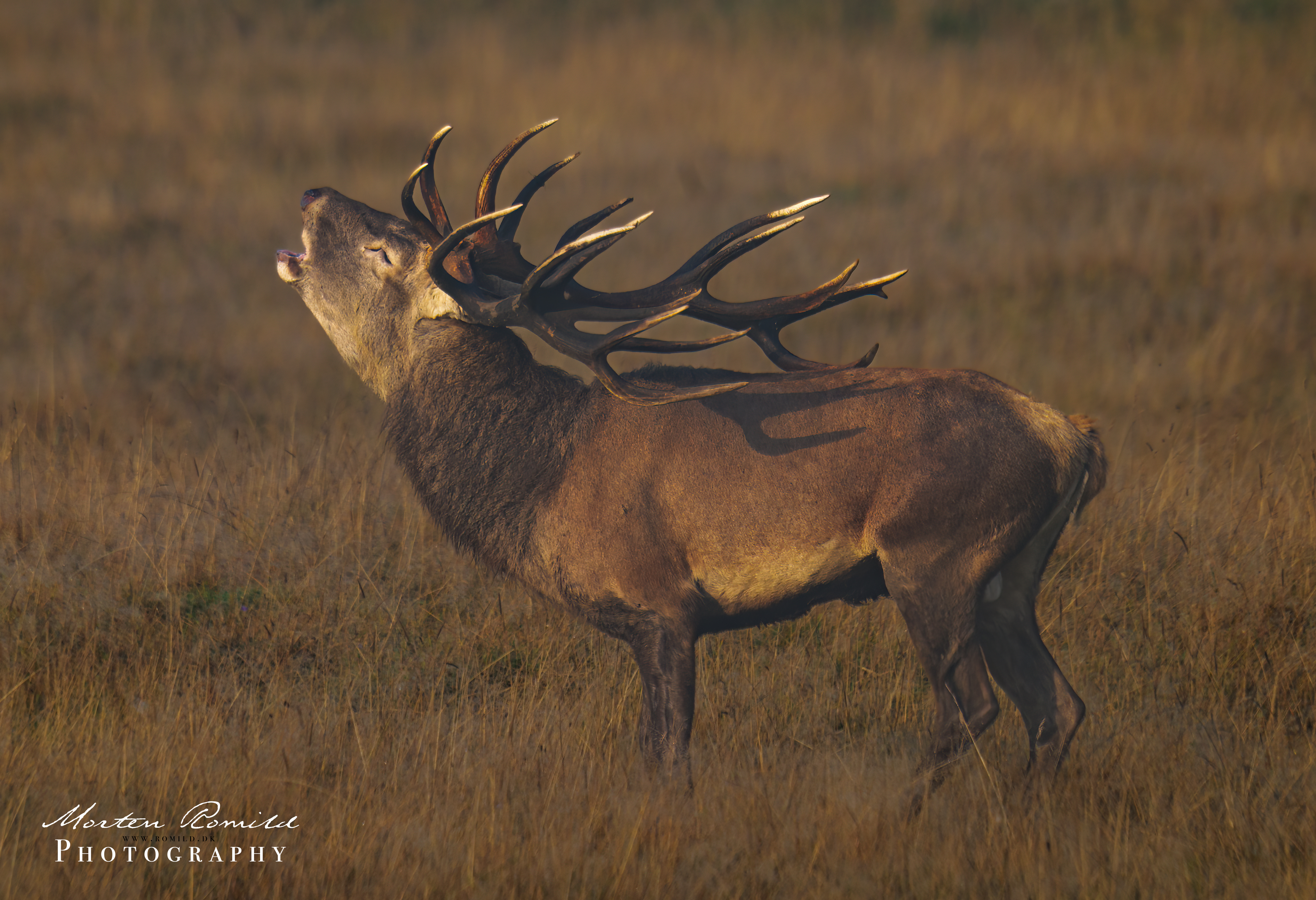 P1090847-Edit