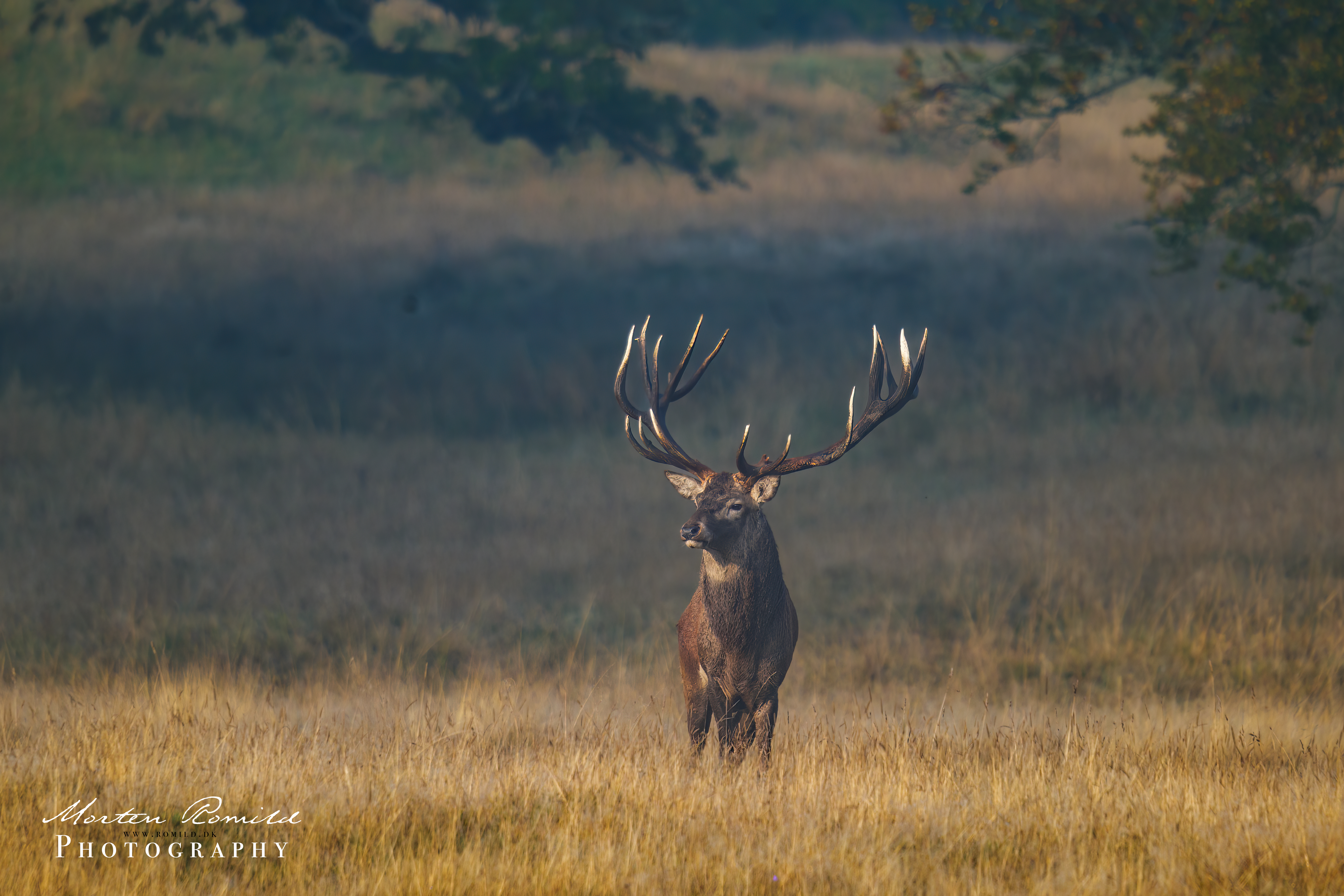 P1090876-Edit