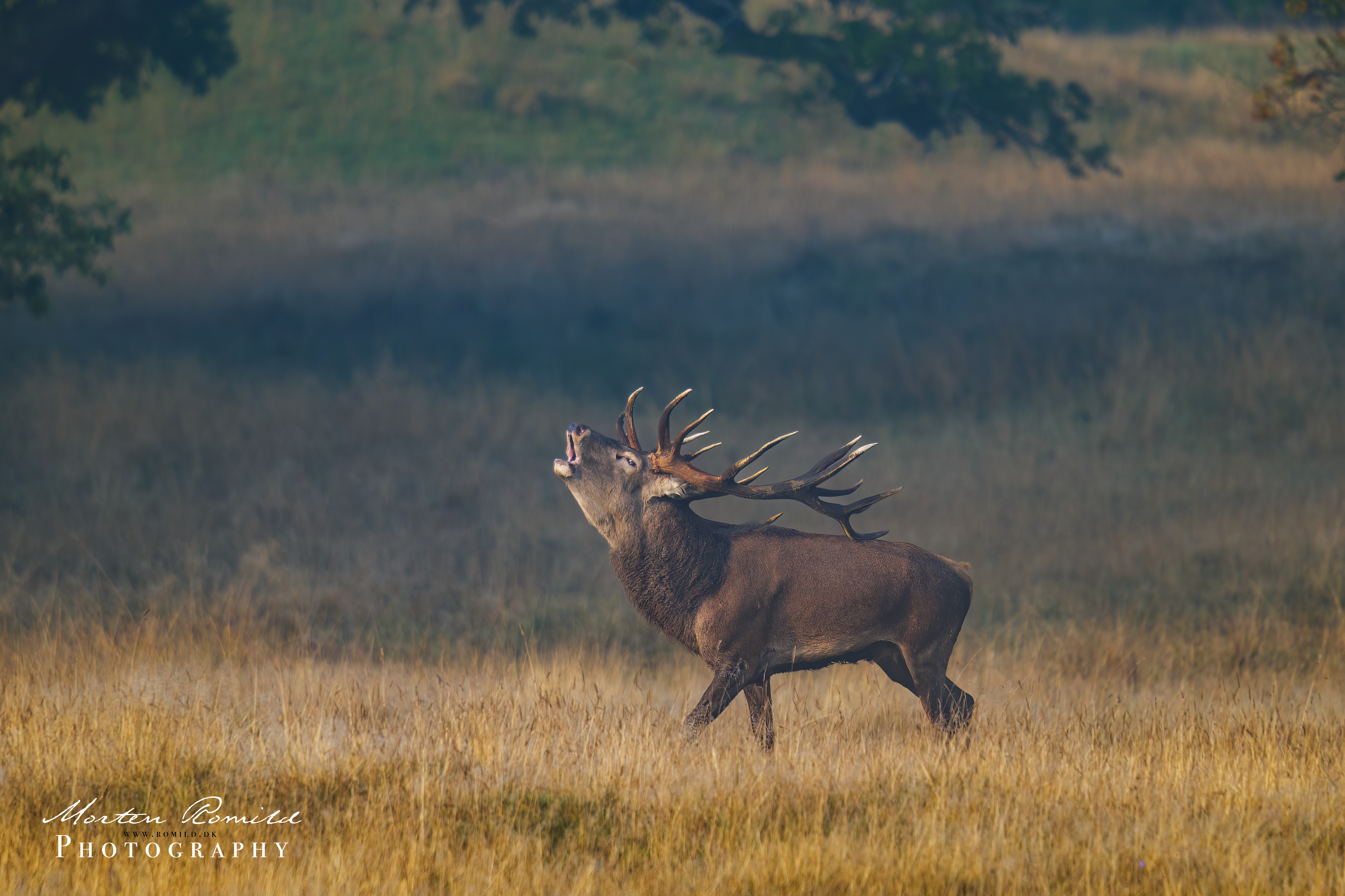 P1090882-Edit